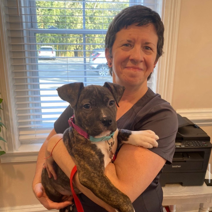 Meet Our Vet Team Wishing Well Veterinary Hospital